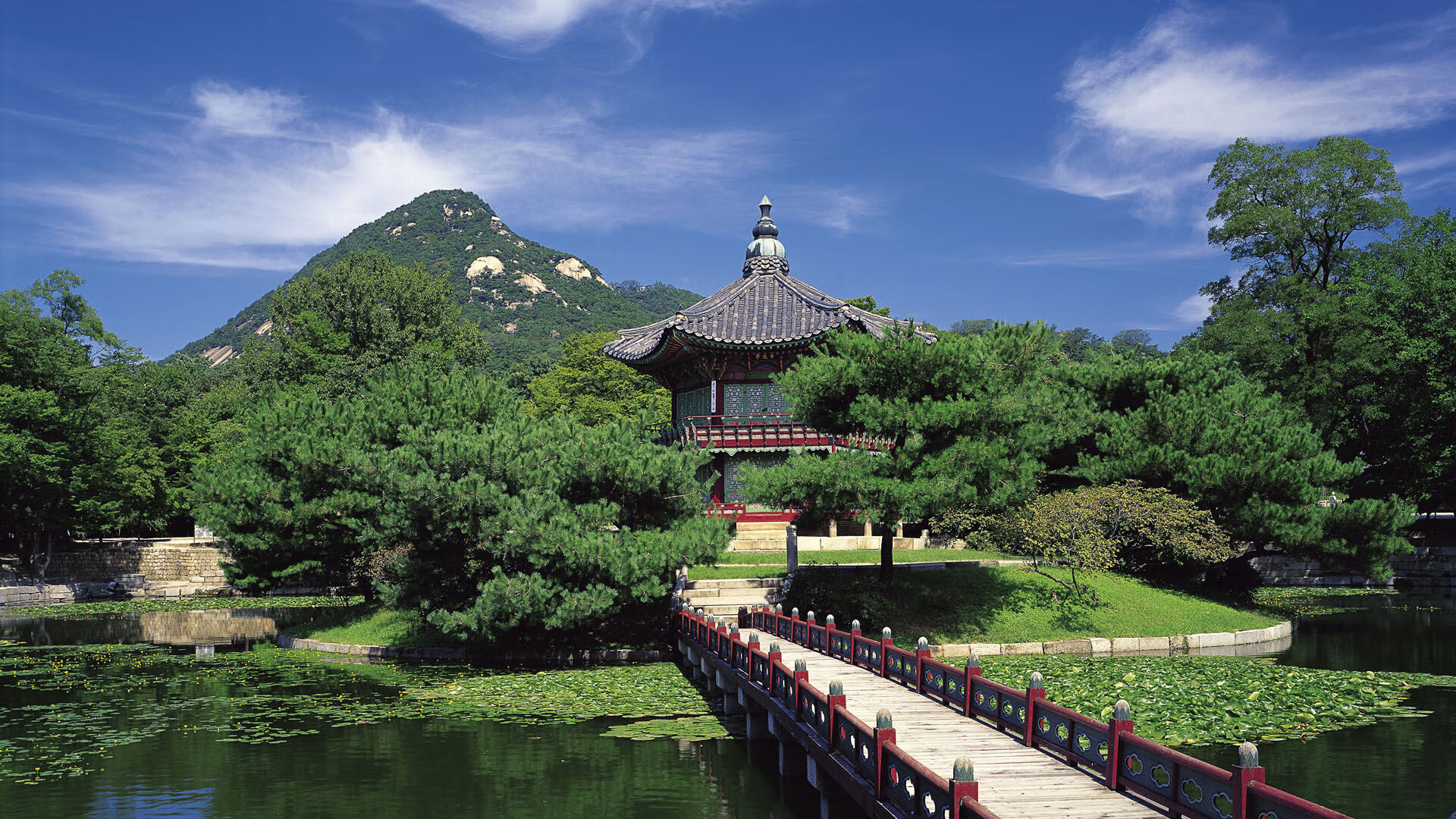 伊朗骑手卡尔·阿里·阿尔达比在巴黎奥运会上首次亮相即夺得障碍赛银牌，表现出色。