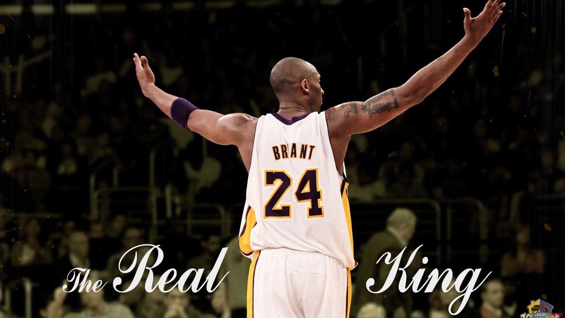 青年赛事涌现潜力新星引起多家俱乐部关注，青年锦标赛