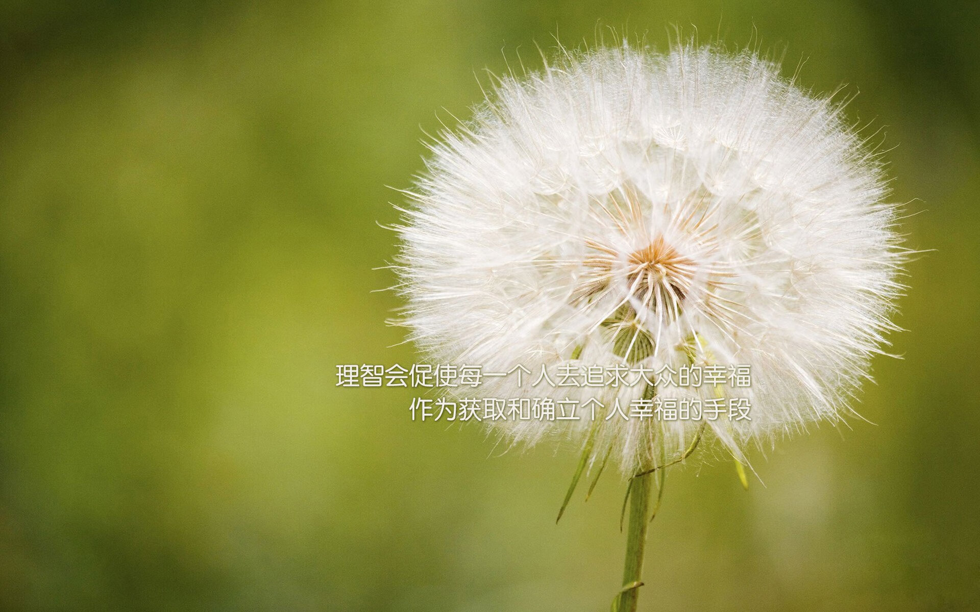 _快船迎来强劲对手，誓夺胜利争先_，快船队比赛视频