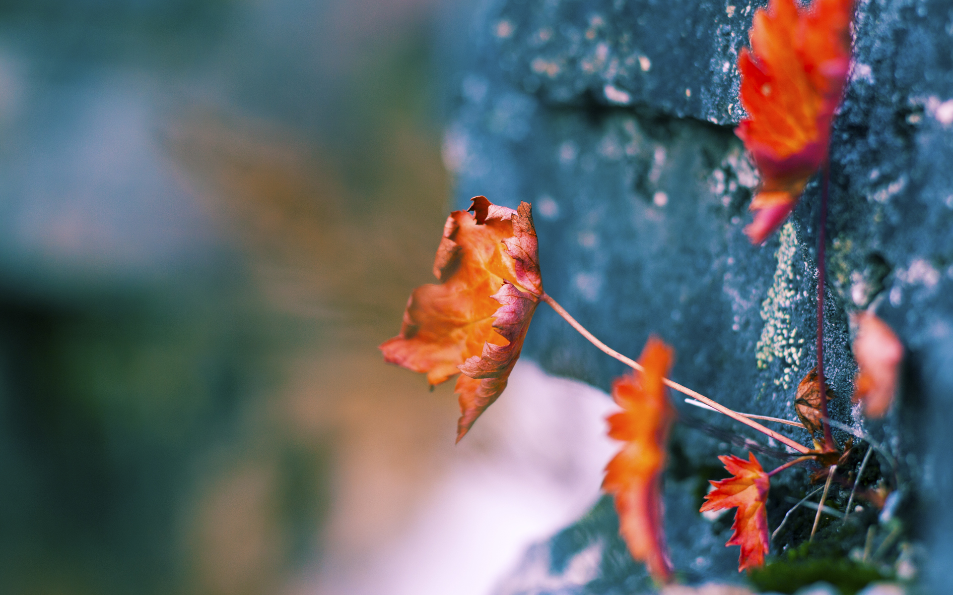 kaiyun官方入口登录-_绿军锋线发威，狂刷数据零失误_，绿军战绩