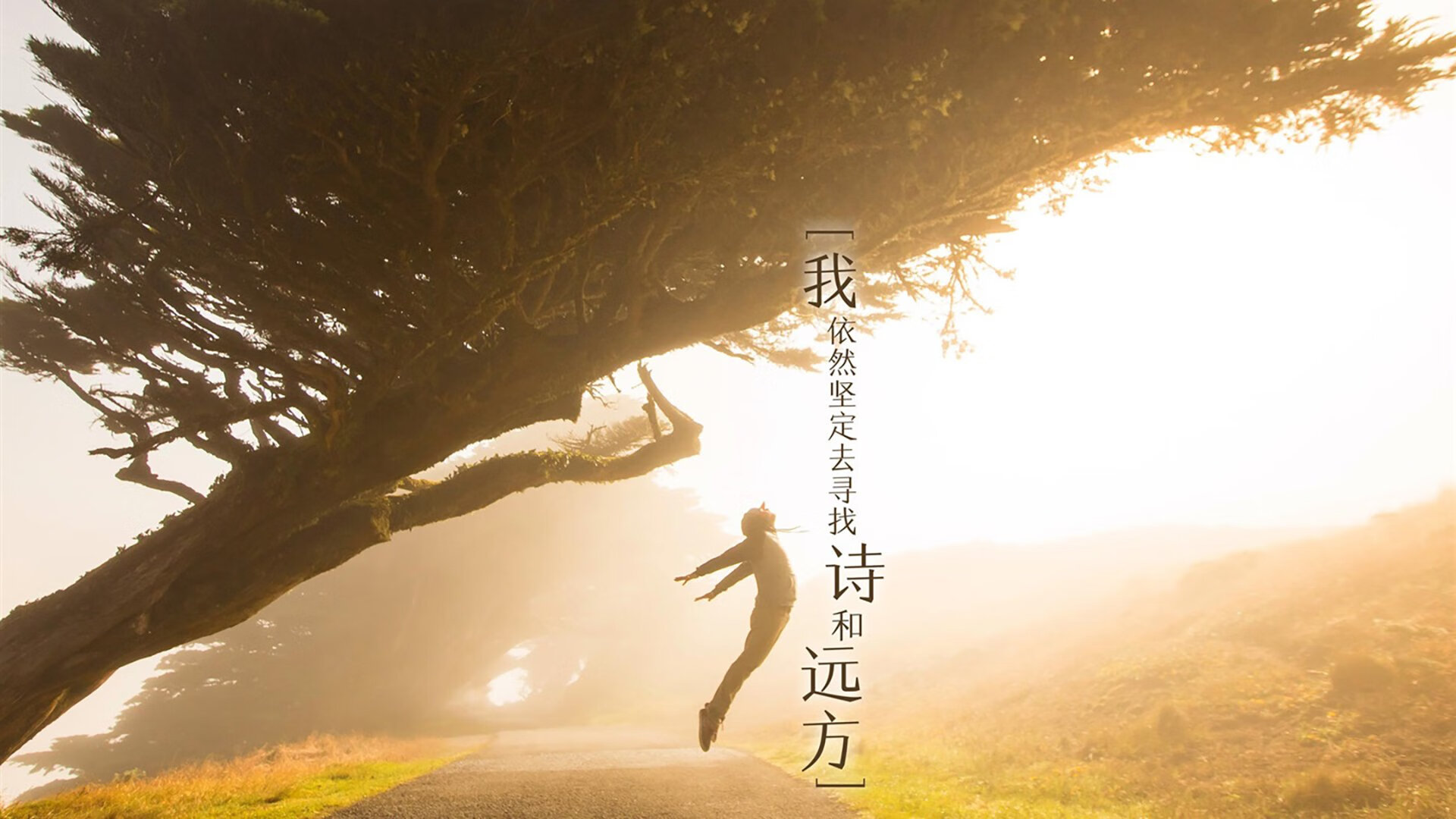 “意甲战火升级，豪门强队再展雄风”，意甲八大豪门