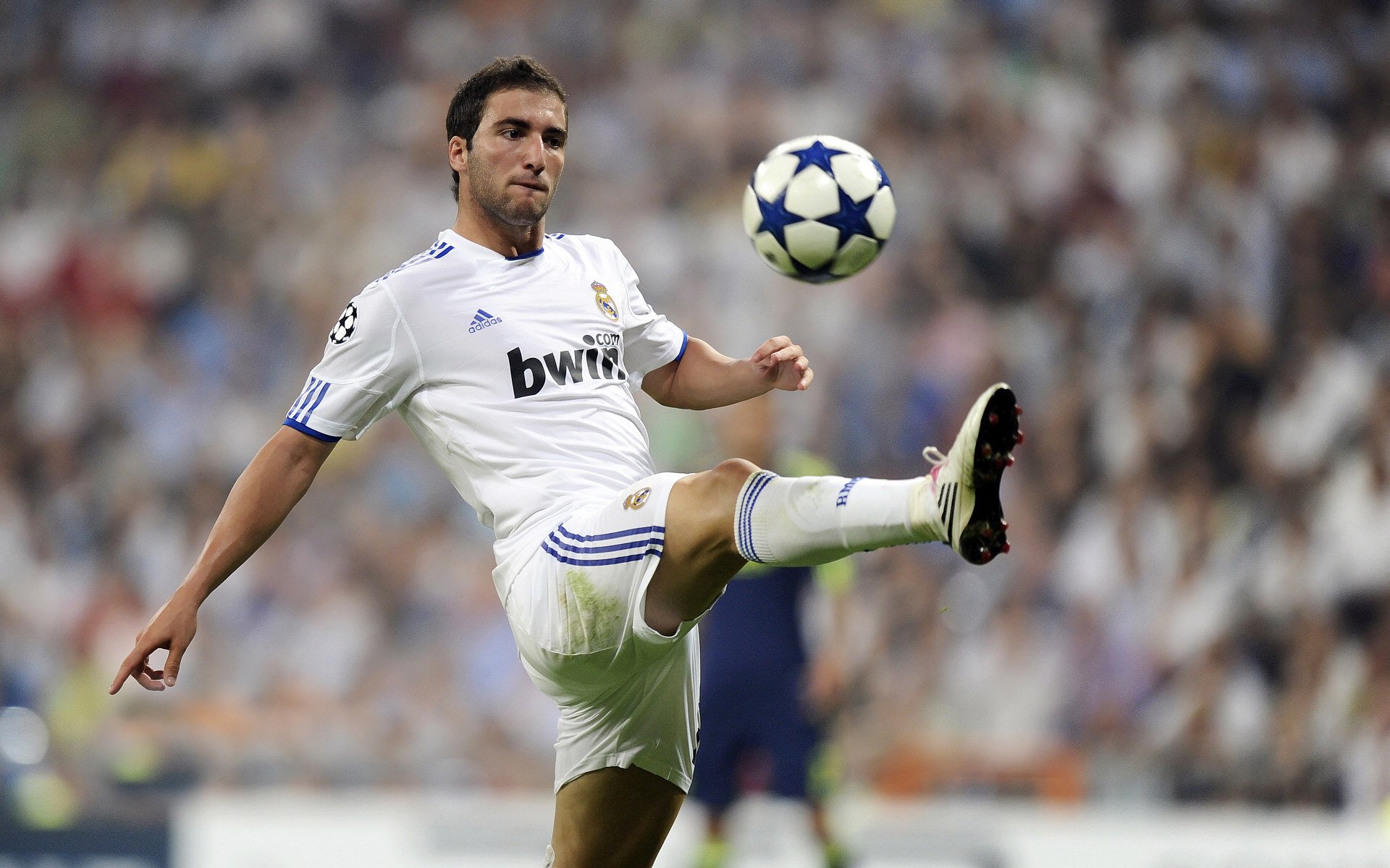 kaiyun体育综合-“霍斯特的稳定发挥让南非羚羊队防守如铁壁”